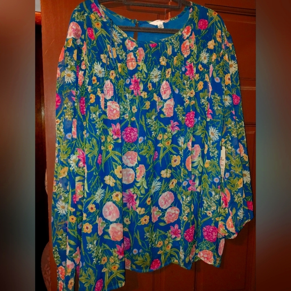 Terra & Sky Blue floral, lined, long sleeve blouse 24w.